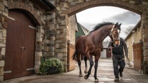 Workfoce at Knockhouse Stud