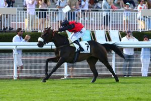 Jolydam Du Breuil winning